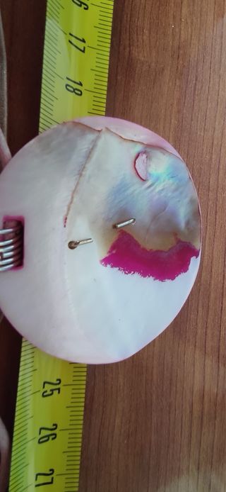 Colgante nácar y plata serpiente