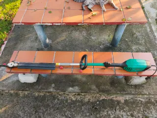 Tagliasiepi telescopico Bosch