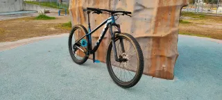TREK ROSCOE 8 2024