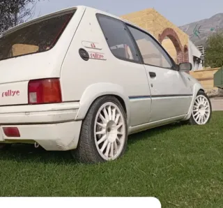 Amortiguadores Selex Peugeot 205 Rallye