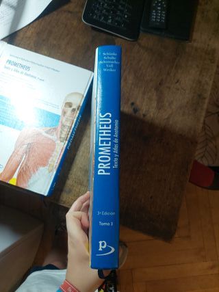 PROMETHEUS texto y atlas de anatomía