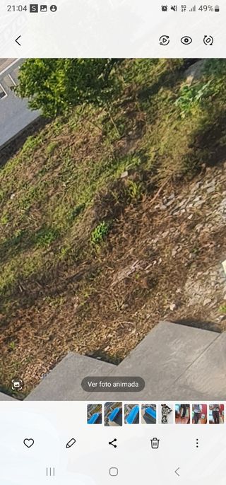 Tierra