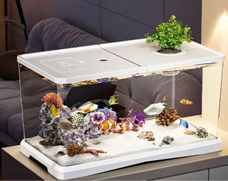 Acuario nuevo médica está puesta en las fotos