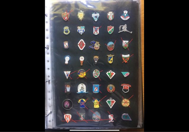 Lote de pines de Álava