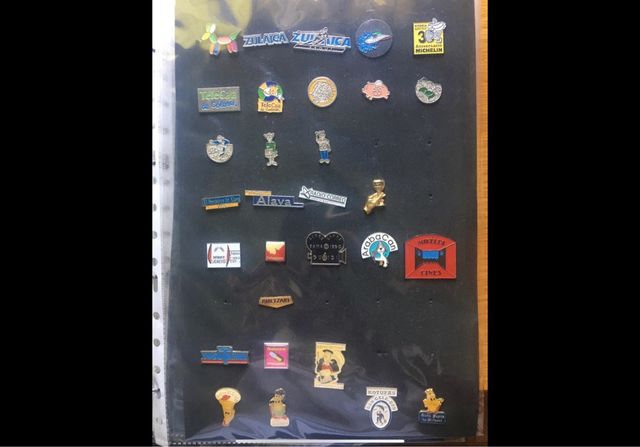 Lote de pines de Álava