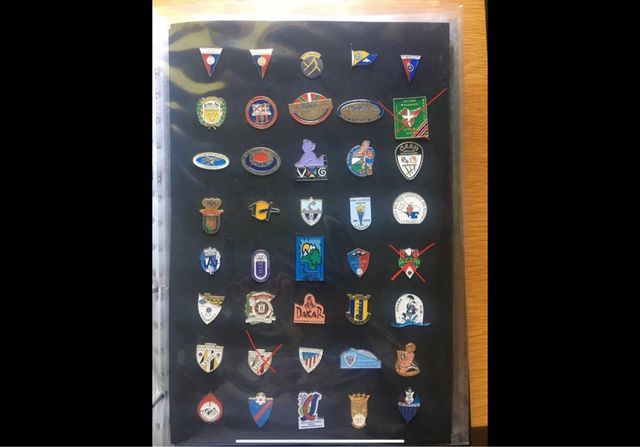 Lote de pines de Álava