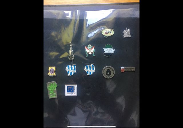 Lote de pines de Álava