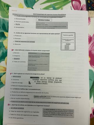 PACK ILERNA Anatomía Patológica + Exámenes otros