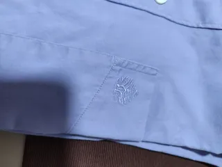 Camisa Springfield Larga Morada Juvenil