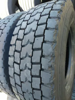 Neumáticos 305/70/R19.5