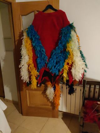 Disfraz de gallo multicolor