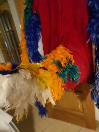 Disfraz de gallo multicolor