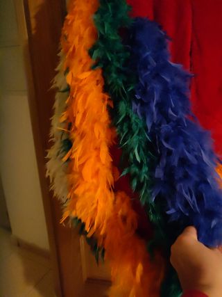 Disfraz de gallo multicolor