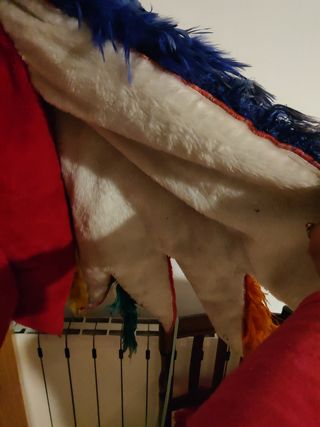 Disfraz de gallo multicolor