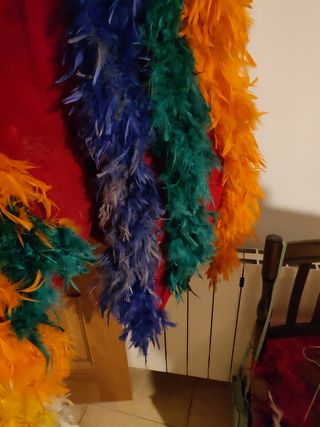 Disfraz de gallo multicolor