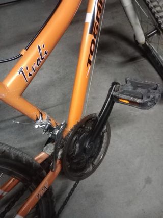 Bicicleta Montaña Togano 24 Naranja