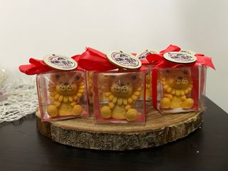 Bomboniere leoncini cera di soia 10 pezzi