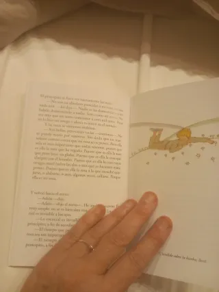 Principito, El