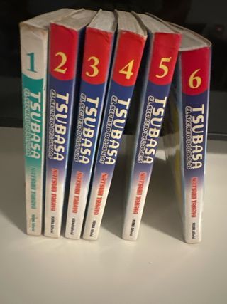 Tsubasa. El secreto de las alas
