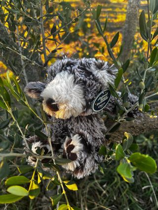 Peluche Chicco Orso (Animali del Bosco Incantato)