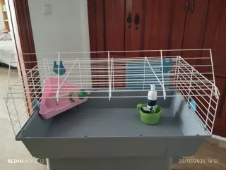 Jaula para conejo con accesorios