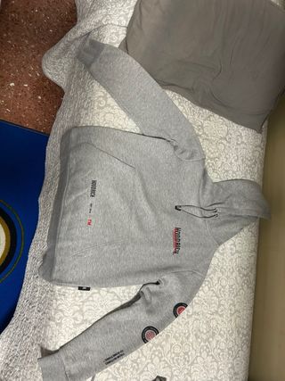 Felpa Hoodrich Grigia Ottime Condizioni