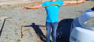 Manguera naranja extensible