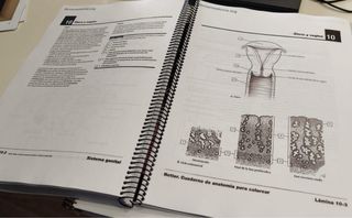 Netter. Cuaderno de anatomía para colorear: 2ª ...