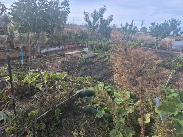 Se vende Parcela de tierra cultivable de 400 metro