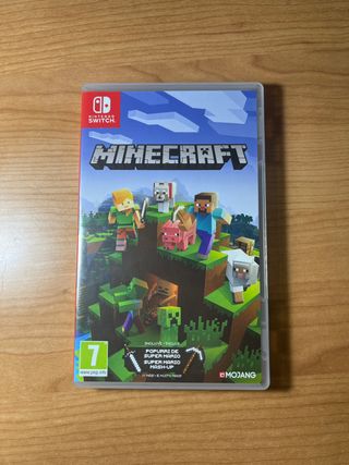 Minecraft Nintendo Switch