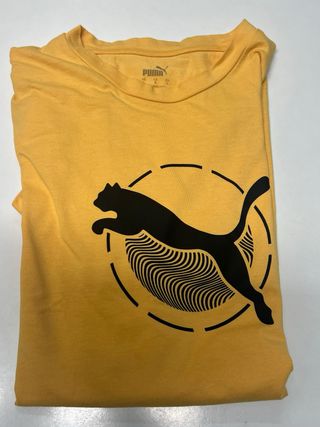 Lote 3 Camisetas Urbanas Talla Única