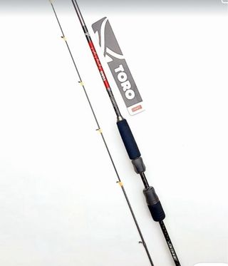Caña de pesca Eging