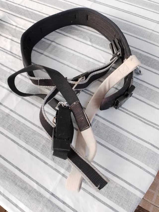 Correa manos libres para perros - Canicross