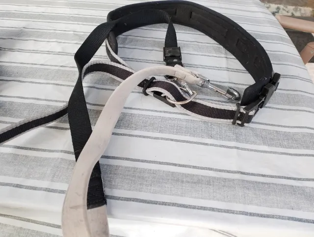 Correa manos libres para perros - Canicross