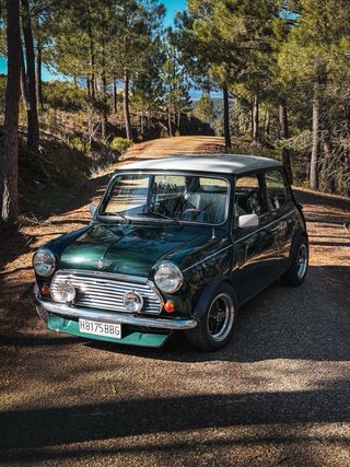 Rover Mini spi 1991