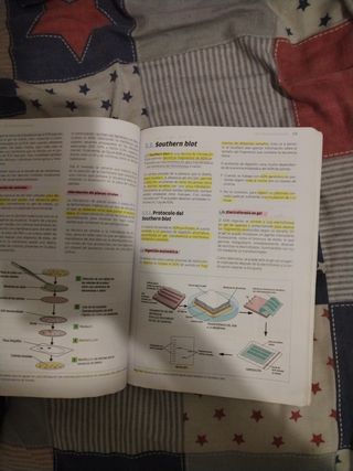 Biología molecular y citogenética