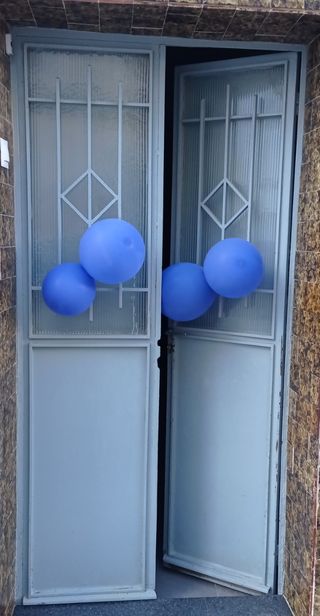 Puerta de hierro