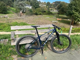 Trek Procaliber 9.6 2023