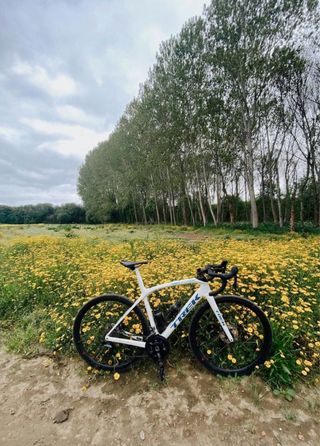 Bicicleta Trek Domane SLR7 Road/Gravel