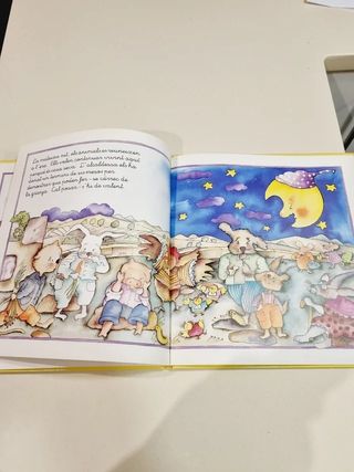 Les Gallines Pintores llibre infantil. En perfecte
