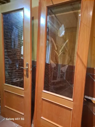 Puerta doble de salón de madera con cristal