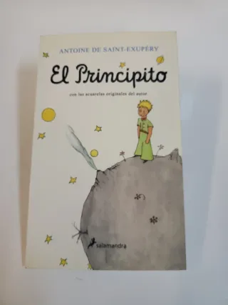 El Principito 93 Paginas 
