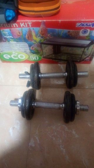 Set di manubri da 6 kg ciascuno