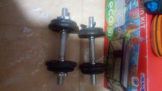 Set di manubri da 6 kg ciascuno