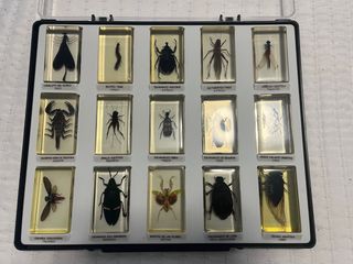 Colección Bichos National Geographic