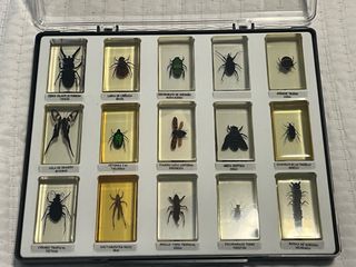 Colección Bichos National Geographic