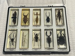 Colección Bichos National Geographic