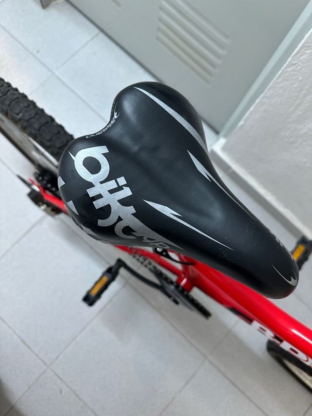 Bicicletta per bambini 20