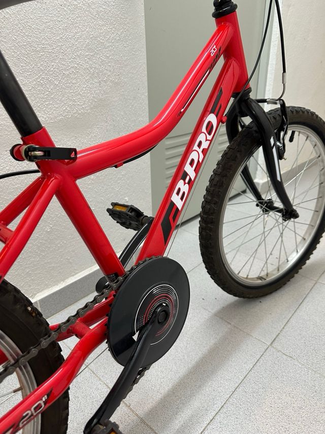 Bicicletta per bambini 20