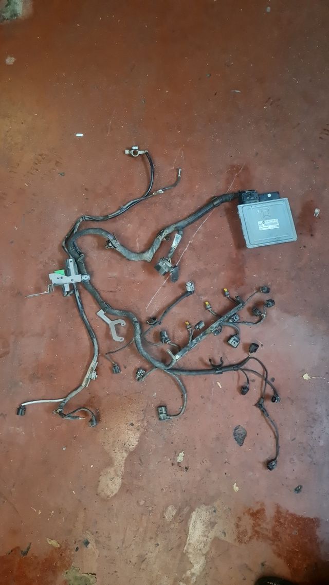 Cableado instalacion motor seat ibiza VAG 1.2 TSI